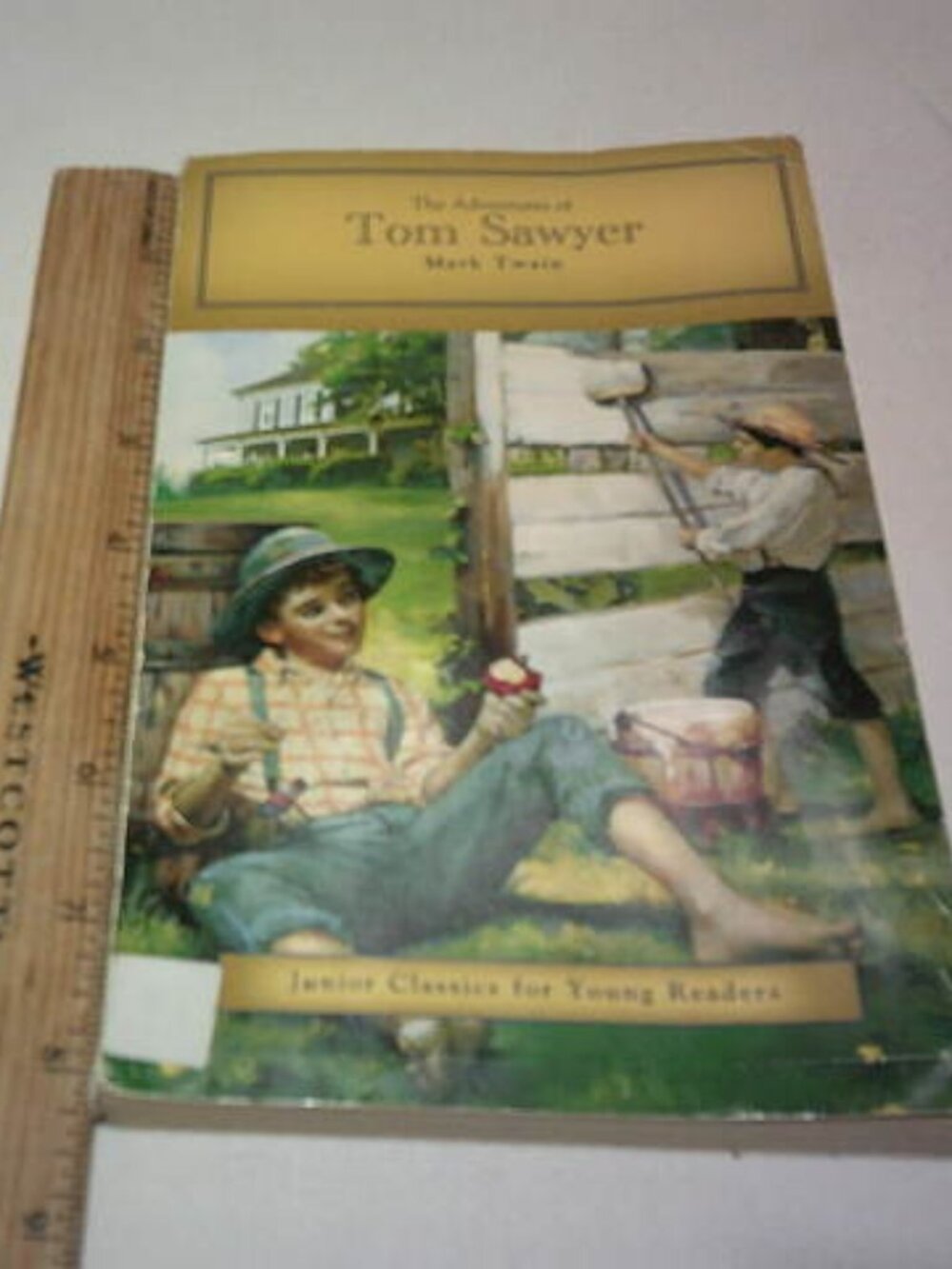 THE ADVENTURES OF TOM SAWYER MARK TWAIN JR CLASSICS YOUNG READERS CHAPTER 📘👦